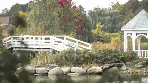 Prachtige Buitenbrug Een Vijver Naar Een Eiland Een Witte Pergola — Stockvideo