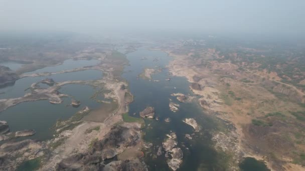 Verde Profondo Mangrovie Foresta Mare Baia Mattina Alba Eco Natura — Video Stock