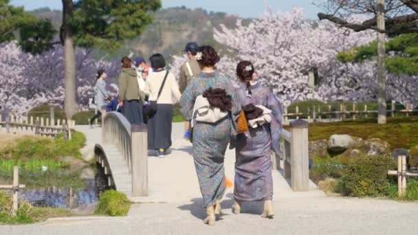 在日本神奈川县Kenrokuen花园 两名身穿日本传统服装 的亚洲女孩在清仓季节走过拱形石桥 — 图库视频影像