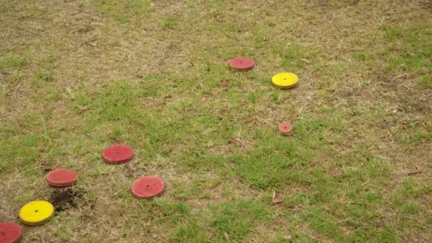 Playing Tejo Grass Wooden Discs People — Stock Video