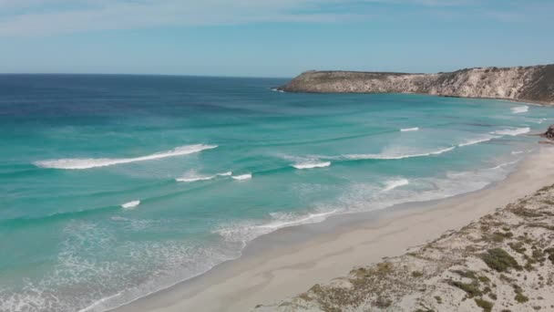 Une Vue Aérienne Shelly Beach Kangaroo Island Australie Beau Drone — Video