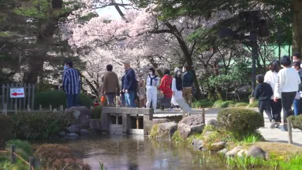Skott Japaner Med Masker Gång Över Stenbron Kenrokuen Garden Kanazawa — Stockvideo