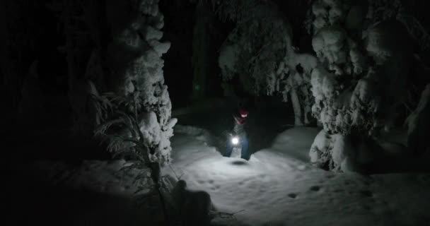 Luftaufnahme Einer Frau Beim Spazierengehen Verschneiten Wald Winternacht Lappland Niedrig — Stockvideo