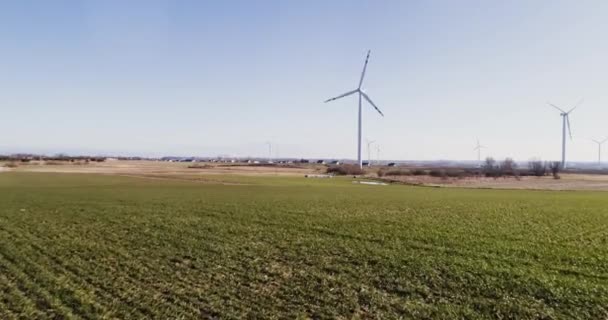 Wind Turbines Rape Field Aerial Footage Aerial Flight Sunset Windmill — Vídeo de Stock