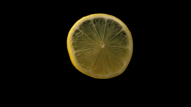 Lemon Slice Rotating Front Blank Background — Vídeo de Stock