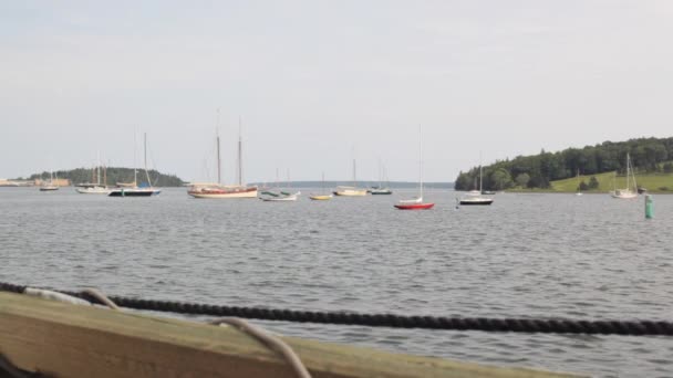 Lunenburg Nova Scotia Harbour Summer — стоковое видео