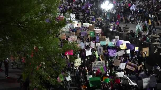 Meksika Monterrey Uluslararası Kadınlar Gününde Yürüyüş Yapan Bir Grup Insan — Stok video
