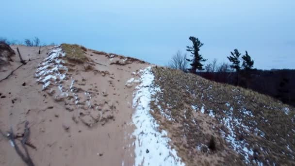 Drone Video Frozen Sand Dune Revealing Large Forest — Wideo stockowe