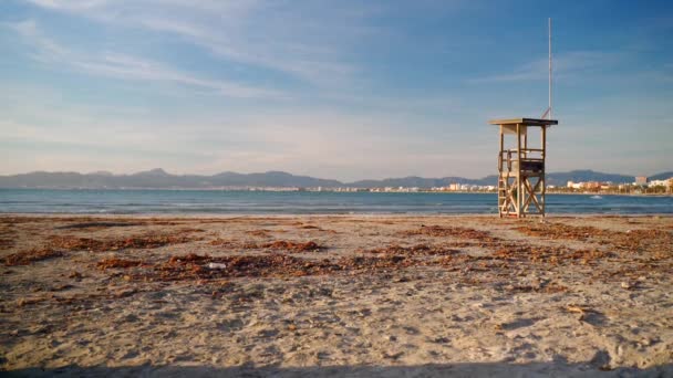 Zonnig Strand Mallorca Arenal Met Uitzicht Baai Van Palma Het — Stockvideo