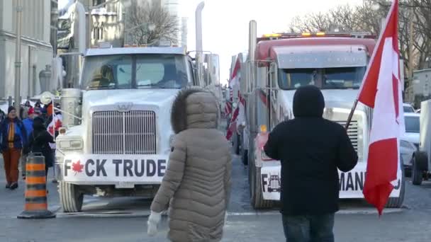 Grupo Personas Con Pancartas Protesta Protesta Del Convoy Libertad Ottawa — Vídeo de stock