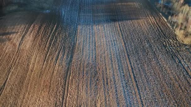 Aerial Sun Casts Shadows Ploughed Frozen Farm Land — Stock video