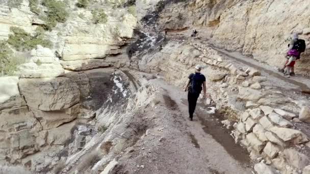 Camera Pans Narrow Trails Leading Grand Canyon Fear Heights Hiking — Vídeo de stock