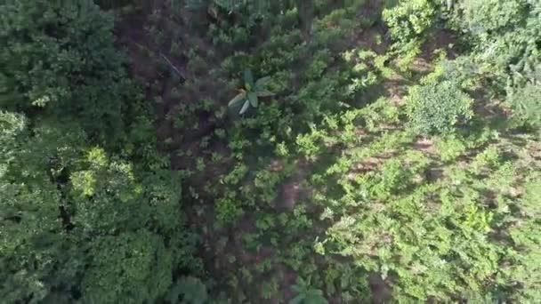Flygskott Drönarflyg Landskap Colombia — Stockvideo