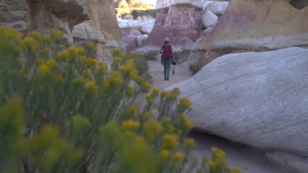 Back View Female Landscape Photographer Walking Camera Rugzak Canyon Unique — Stockvideo