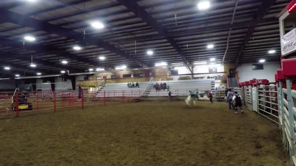 Stieren Oefenen Paardrijden Een Indoor Arena — Stockvideo
