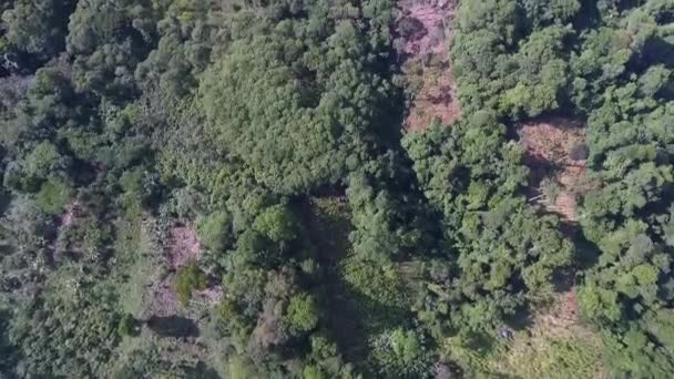 Drönarflygning Vacker Natur Colombia — Stockvideo