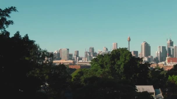 Aerial Downtown Sidney Australia Drone Jib Shot — Stok Video