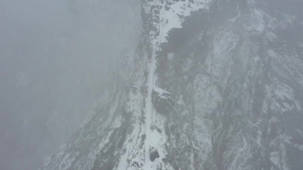 Aerial Shot Ninho Manta Madeira Flying Forwards Looking Ridge Dark — Stock video