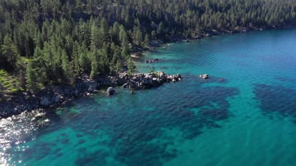 Turquoise Water Green Forest Lake Tahoe United States America Aerial — Vídeos de Stock