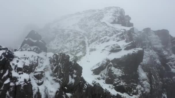 Vue Aérienne Ninho Manta Madère Volant Vers Avant Dans Mystérieuse — Video