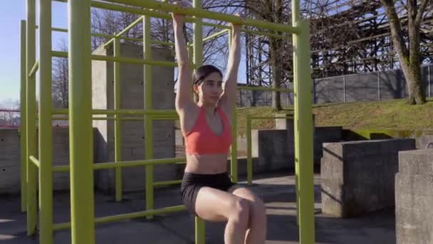 Attractive Young Woman Doing Hanging Knee Raise Exercise Outdoor Park — Wideo stockowe