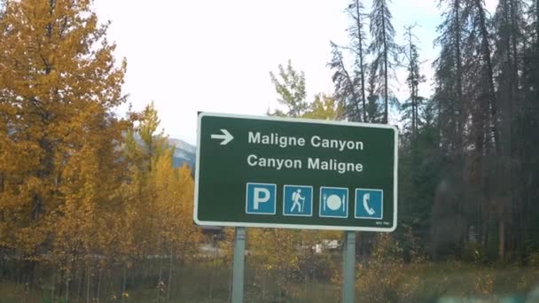 Maligne Canyon Road Sign Jasper National Park Autumn Alberta Canada — Vídeo de stock
