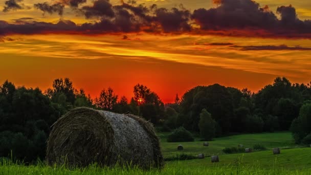 Время Восхода Солнца Истекает Над Зеленой Фермой Круглыми Тюками Сена — стоковое видео