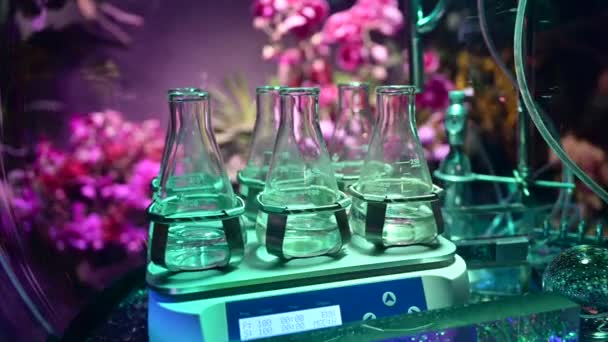 Laboratory Flasks Transparent Liquid Substances Plant Flower Laboratory Agriculture Experiments — Stockvideo