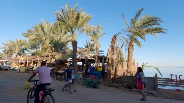 Dahab Seaside Street Stalls Palm Tree Coastline Egypt Morning Light — 비디오