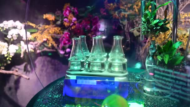 Laboratory Flasks Transparent Liquid Substances Plant Flower Laboratory Agriculture Experiments — Stockvideo