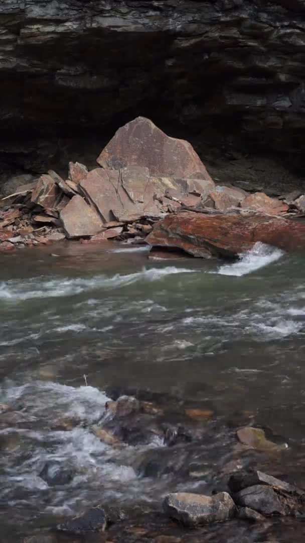 Vídeo Vertical Del Flujo Agua Río Con Rocas Pensilvania Central — Vídeos de Stock