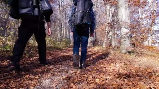 2人のバックパッキングハイカーが歩いている森の道の静的なカメラビュー — ストック動画