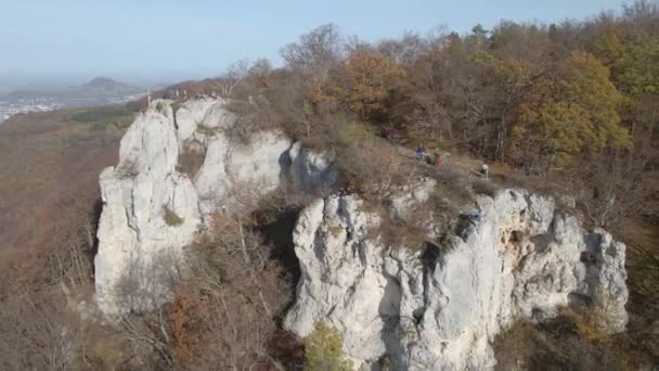 Aerial View Zooming Out Climbing Rock Forest Swabian Alb Germany — Stock video
