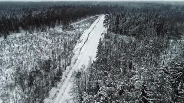 在白雪覆盖的森林中的乡间小径上开车 无人驾驶 — 图库视频影像