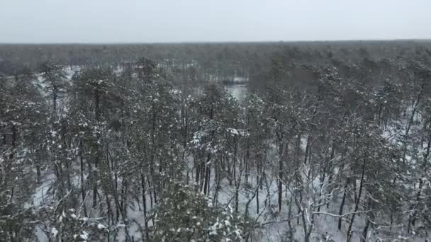 Peaceful Scenery Snowy Forest Icy Lake New Jersey Usa Aerial — Vídeo de Stock