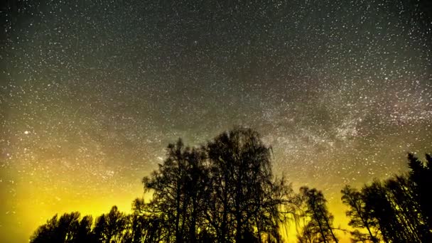 美丽的银河在夜空中 在轮廓中的树木之上 低角度 时间差 — 图库视频影像