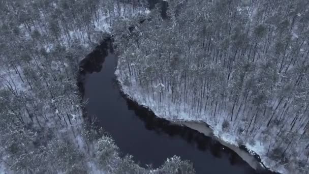 新泽西州白雪覆盖的森林与狭窄的冰冻河流 空中射击 — 图库视频影像