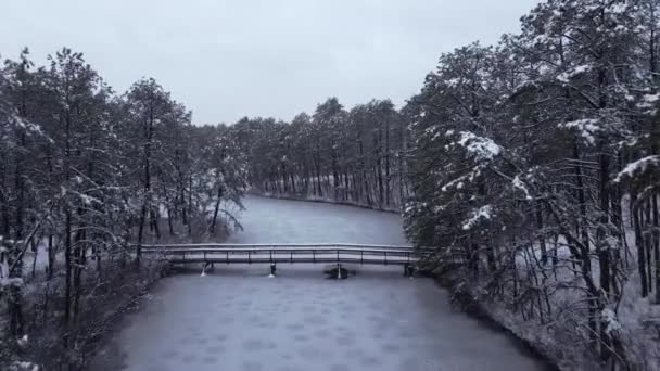 Scenic View Bridge Frozen River Middle Snowy Forest New Jersey — Stock Video