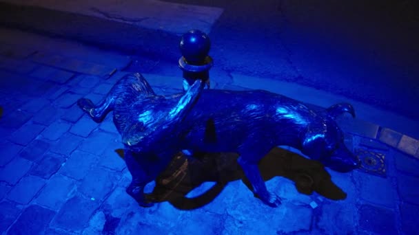 Urinerende Hond Bronzen Sculptuur Zinneke Pis Wijk Dansaert Nachts Brussel — Stockvideo