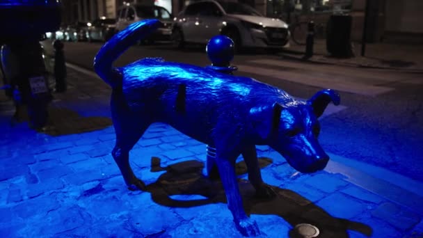 Famous Brussels Sculptural Image Zinneke Pis Urinating Street Dog Belgium — Stockvideo