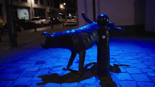 Bronze Statue Dog Peeing Street Night Belgian Landmark Downtown Brussels — Stok video