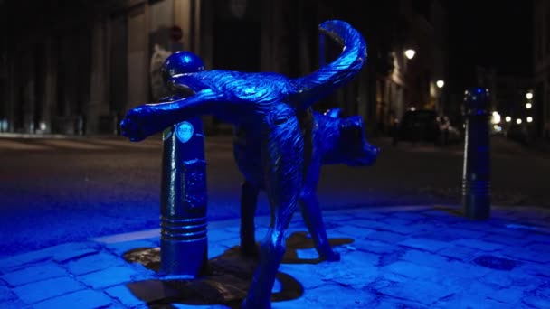Sculpture Dog Lifting Leg Pole Evening City Brussels Belgium Zinneke — Stock Video