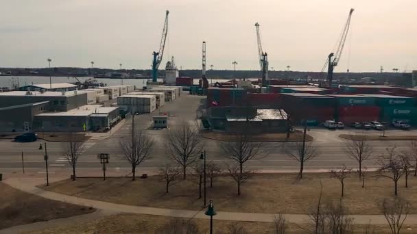 Site Major Shipping Area Giant Cranes Lift Giant Shipping Containers — Stock Video