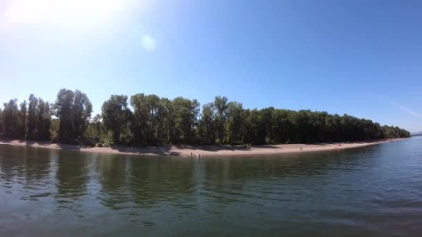 Drone Flight Portlant River Shot Moves Away Group Trees River — Vídeos de Stock