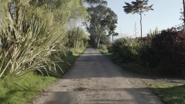 Caminho Descoberto Voo Drone Colômbia — Vídeo de Stock