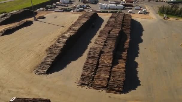 Högen Med Stammar Pappersbruk Fabrik Fray Bentos Uruguay Antenn Uppifrån — Stockvideo