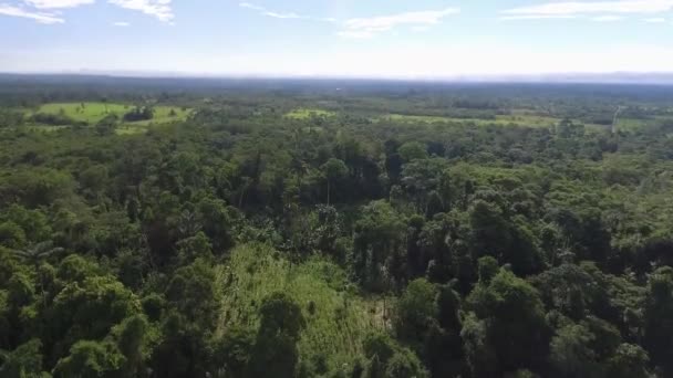 Voo Sobre Campos Vista Aérea Árvores Montanhas Nuvens — Vídeo de Stock