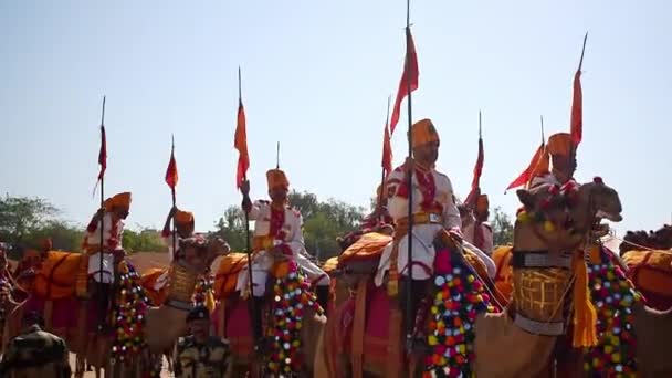Bsf士兵参加了游行 Bsf士兵身着传统服装 骑着骆驼参加沙漠节的游行 — 图库视频影像