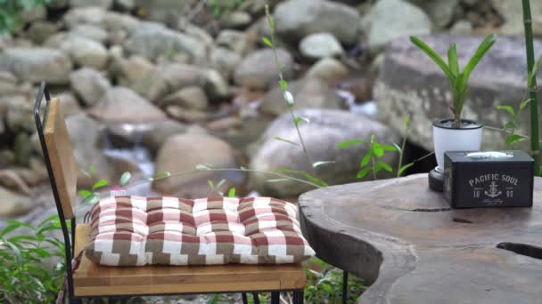 Empty Chair Cushion Rustic Wood Tissue Holder Next Potted Plant — Stok video