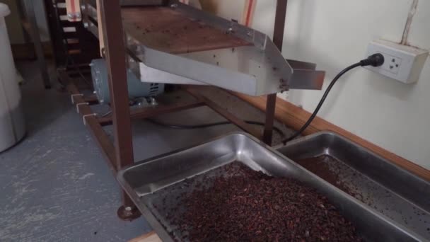 Bean Bar Chocolate Machine Machine Cracking Winnowing Cocoa Beans Separating — Vídeo de stock